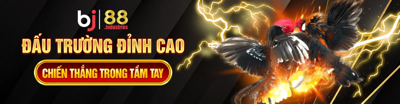 Nhà Cái BJ88.Com Đá Gà Thomo Trực Tiếp Uy Tín Số 1 Châu Á