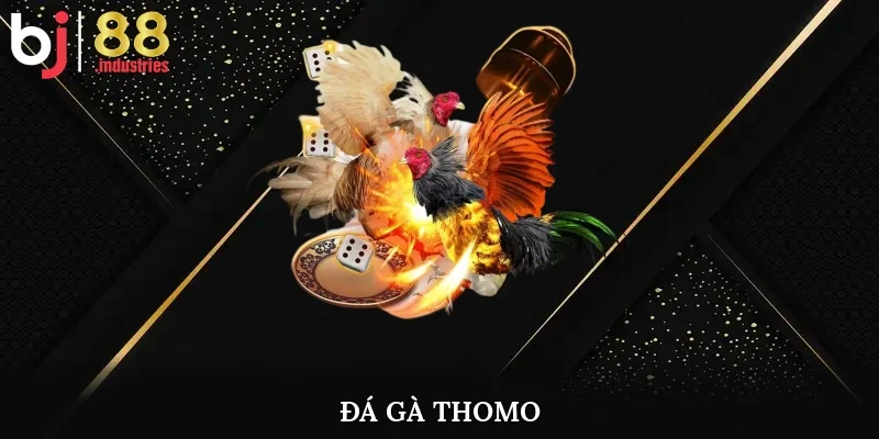 Đá Gà Thomo - Mẹo Chơi Nhanh Thắng Tại Nhà Cái BJ88