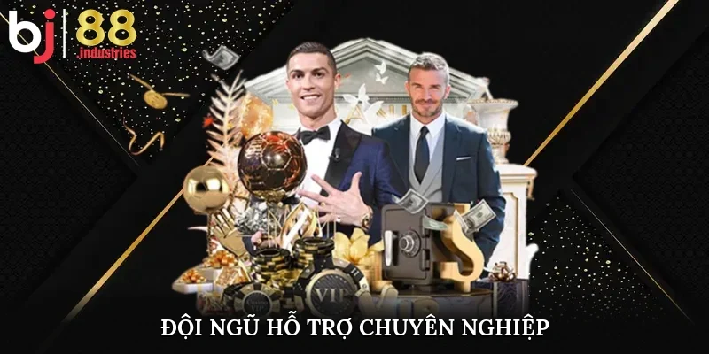 Đội ngũ hỗ trợ chuyên nghiệp
