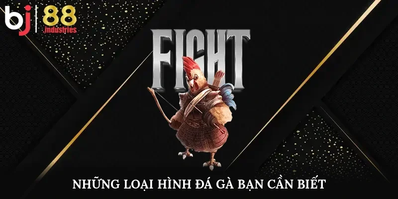 Những loại hình đá gà bạn cần biết