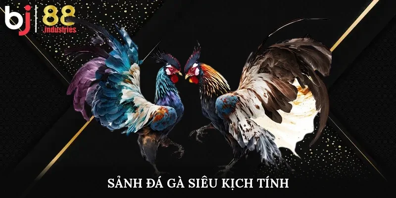Sảnh đá gà siêu kịch tính