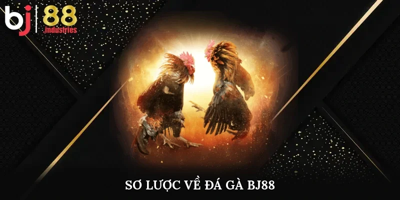 Sơ lược về đá gà bj88