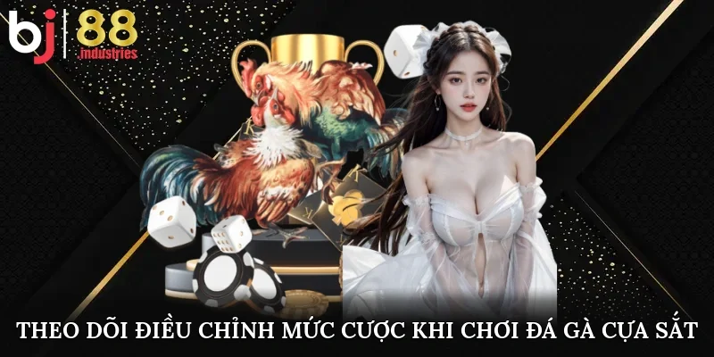 Theo dõi, điều chỉnh mức cược khi chơi đá gà cựa sắt